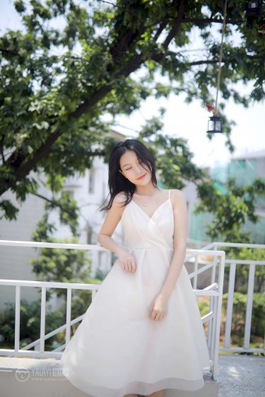 李小龙传奇全集